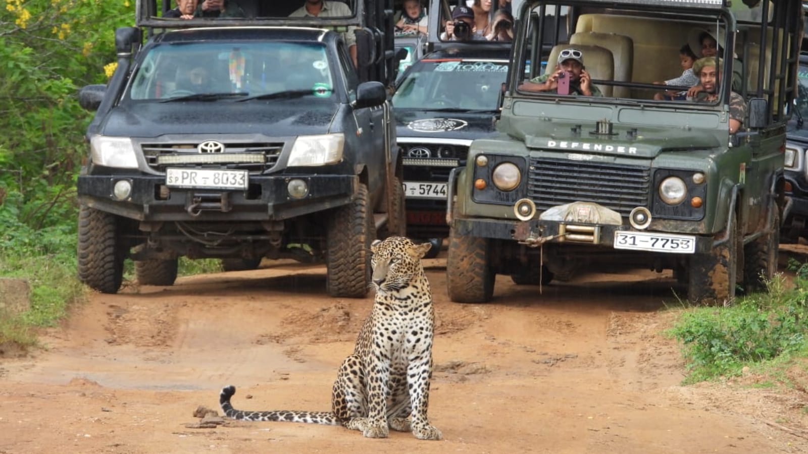 Yala National Park Tour